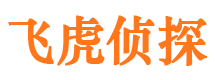 罗庄市调查公司